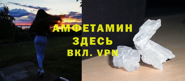 молекула духа Богородицк