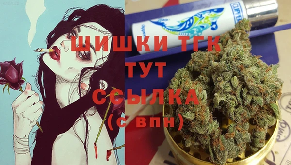 молекула духа Богородицк