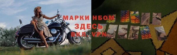 молекула духа Богородицк
