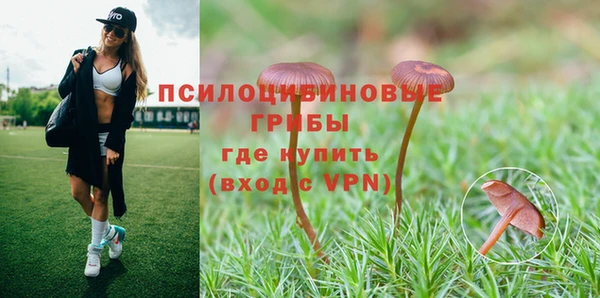 круглые Богородск
