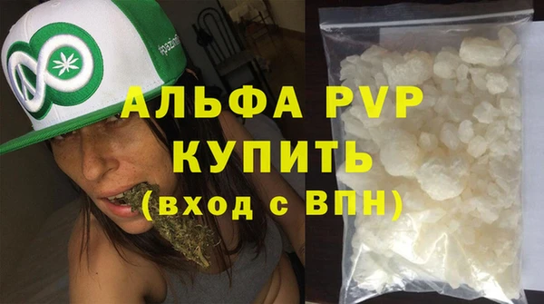 молекула духа Богородицк