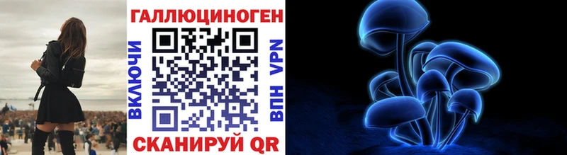 Псилоцибиновые грибы Psilocybe  купить наркотик  Обь 