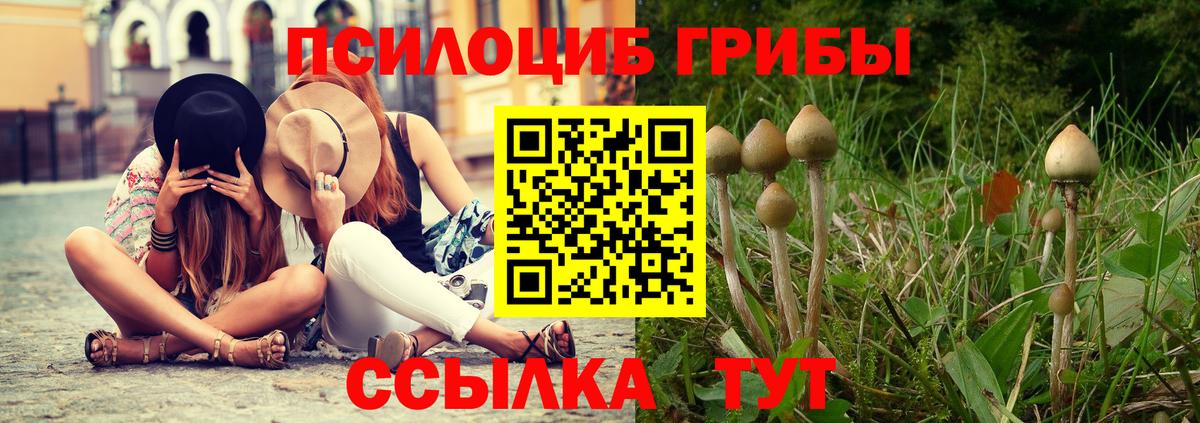 дарнет шоп  Вход с VPN  Обь  Псилоцибиновые грибы Cubensis 