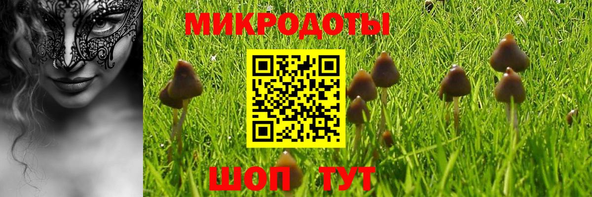 Псилоцибиновые грибы мухоморы Обь