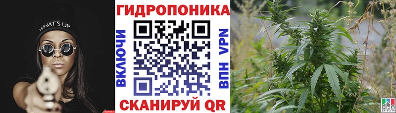 купить наркотик  Обь  kraken маркетплейс  Бошки марихуана планчик 